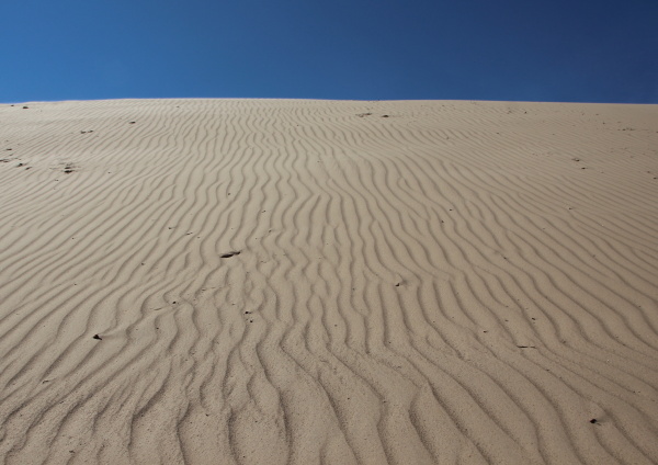 primer plano espacio desierto playa la