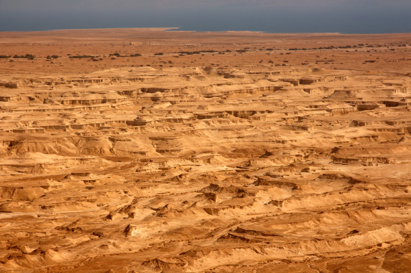 paisaje desertico israel