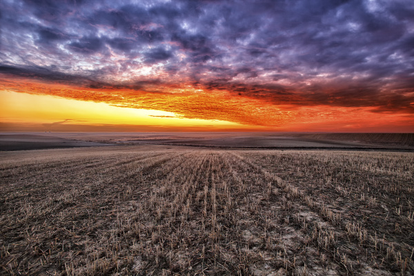 puesta del sol agricultura nube campo
