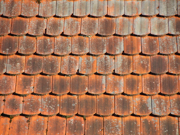 techo de teja roja con alga