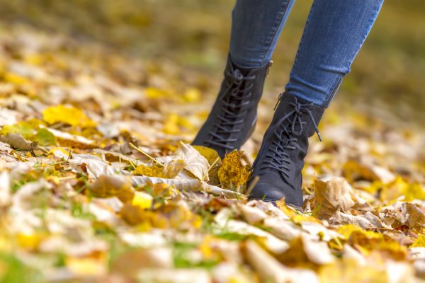 Retrato de dos hermosas chicas de la generación milenaria mexicana. Sesión  de fotos de otoño en el parque junto al banco .: fotografía de stock ©  alexstockphoto21 #333950096