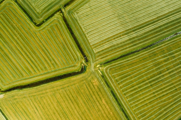 vista aerea de las tierras de
