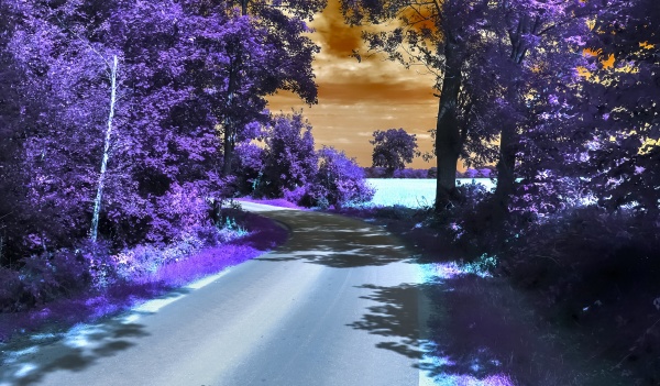 hermoso paisaje infrarrojo purpura en las