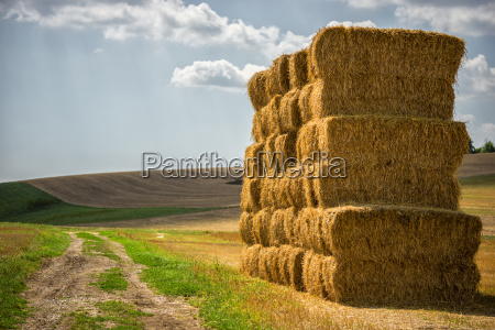 fardos de paja, campo 9432086 Foto de stock en Vecteezy