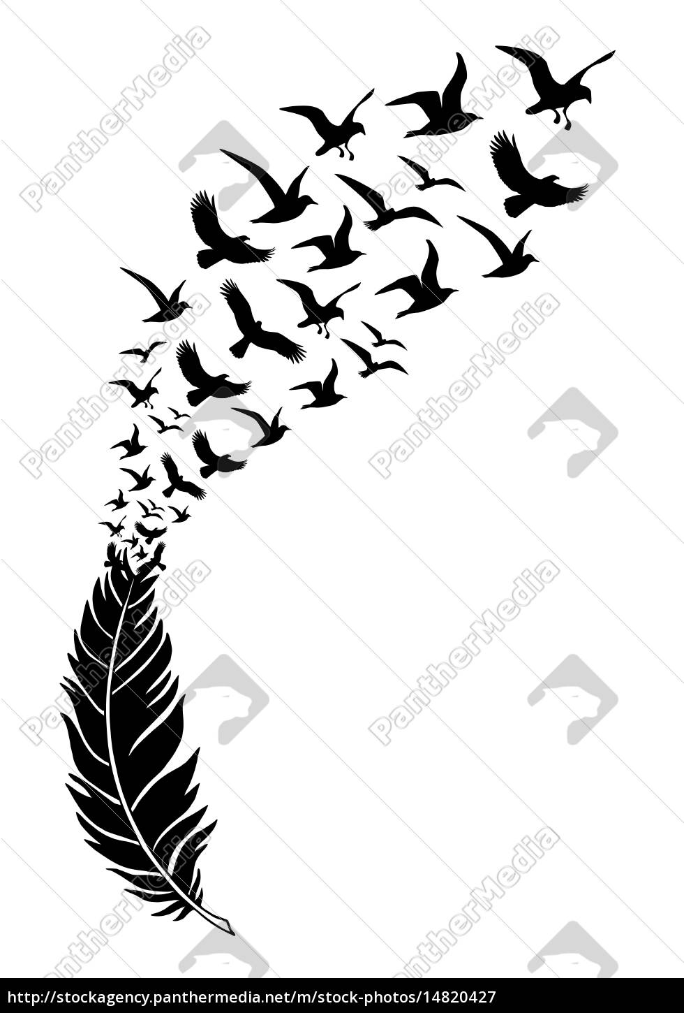 Plumas negras realistas. Pluma de aves,: ilustración de stock 2139683131