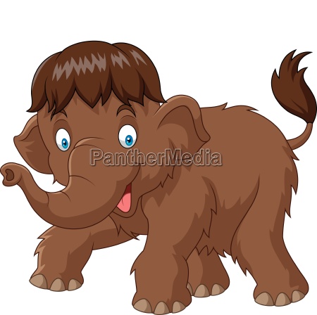 Mamut bebé de dibujos animados - Stockphoto #25728656 | Agencia de stock  PantherMedia