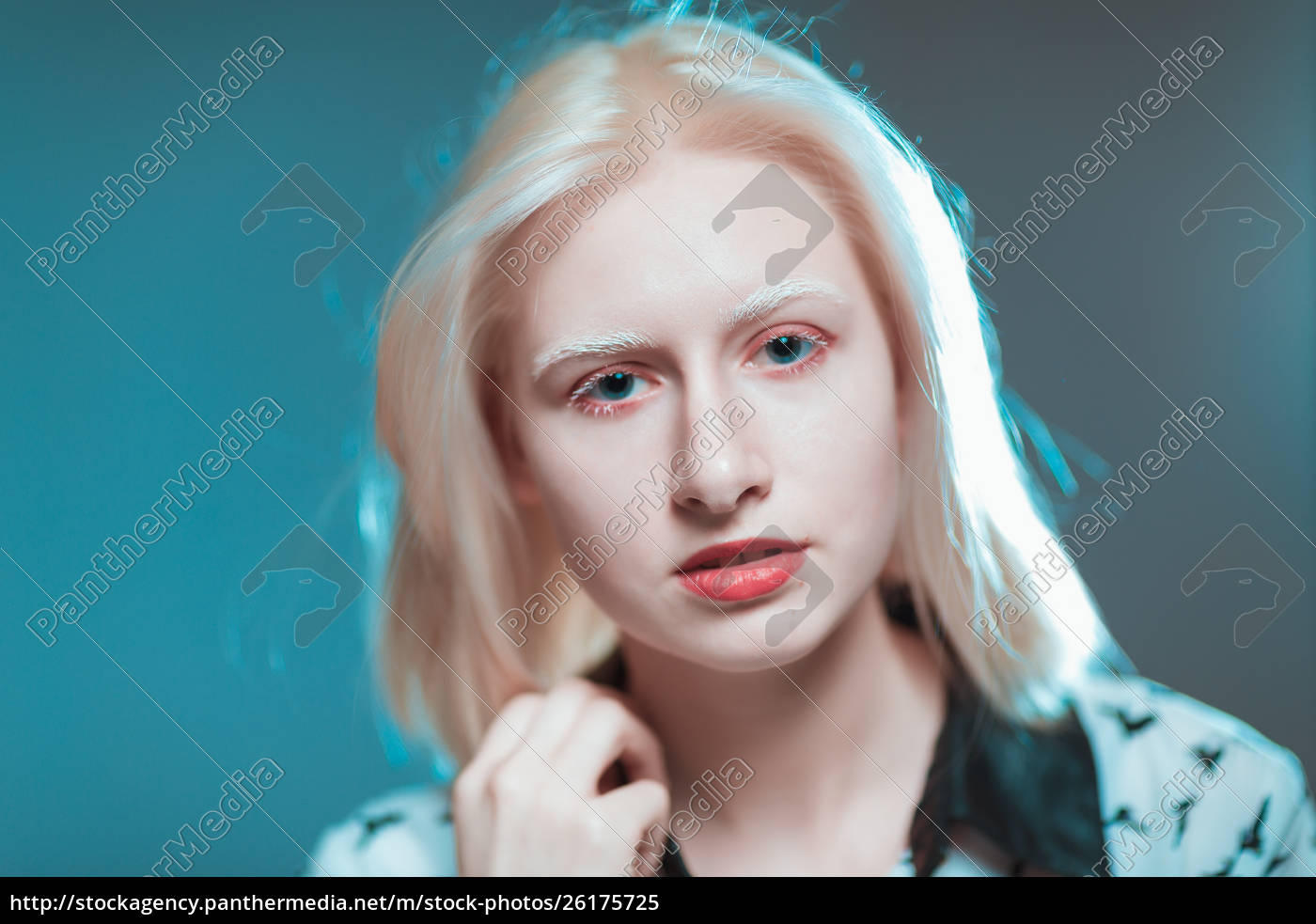 retrato de rubia chica albina en el estudio - Foto de archivo #26175725 |  Agencia de stock PantherMedia